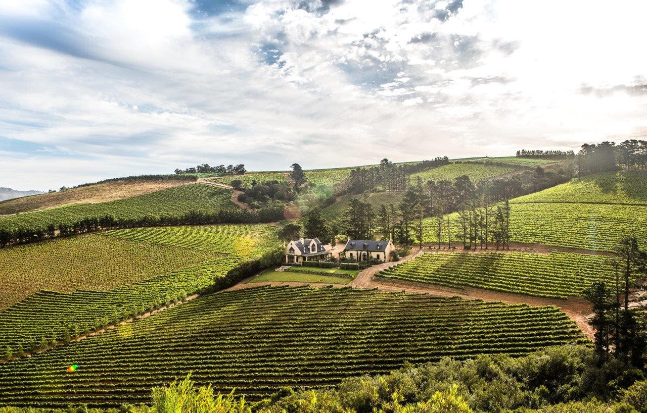 Highberry Vineyards & Venue