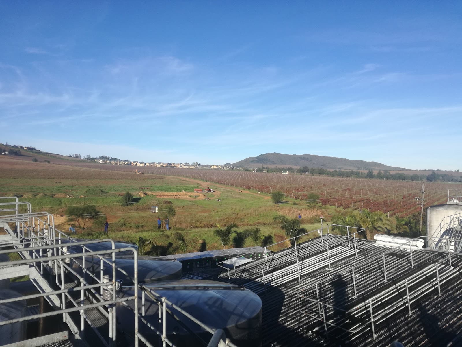 Origin Wine Stellenbosch