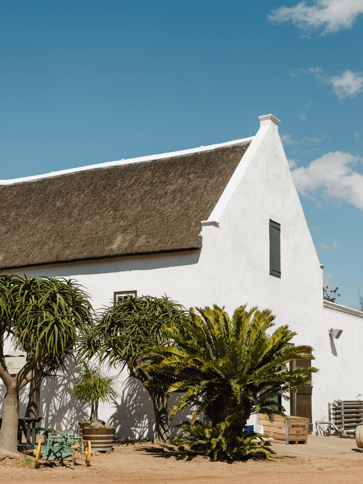 Groote Post Vineyards