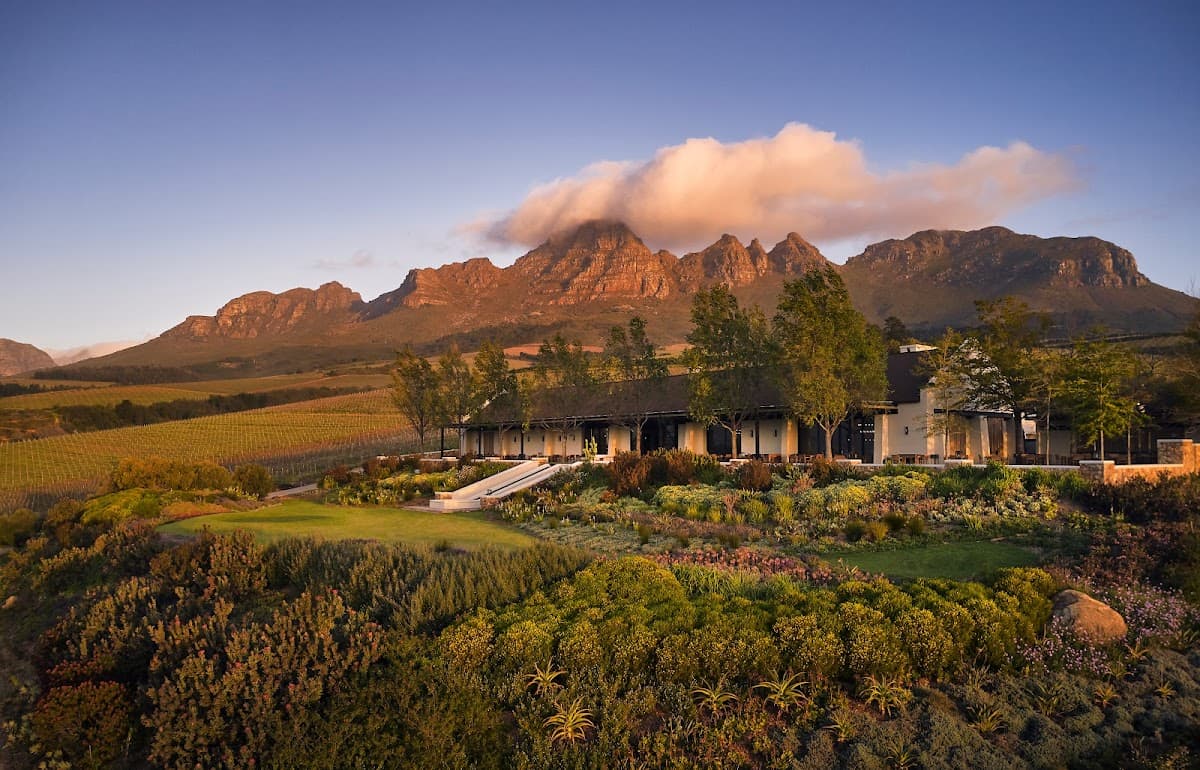 Ernie Els Wines gallery image 1