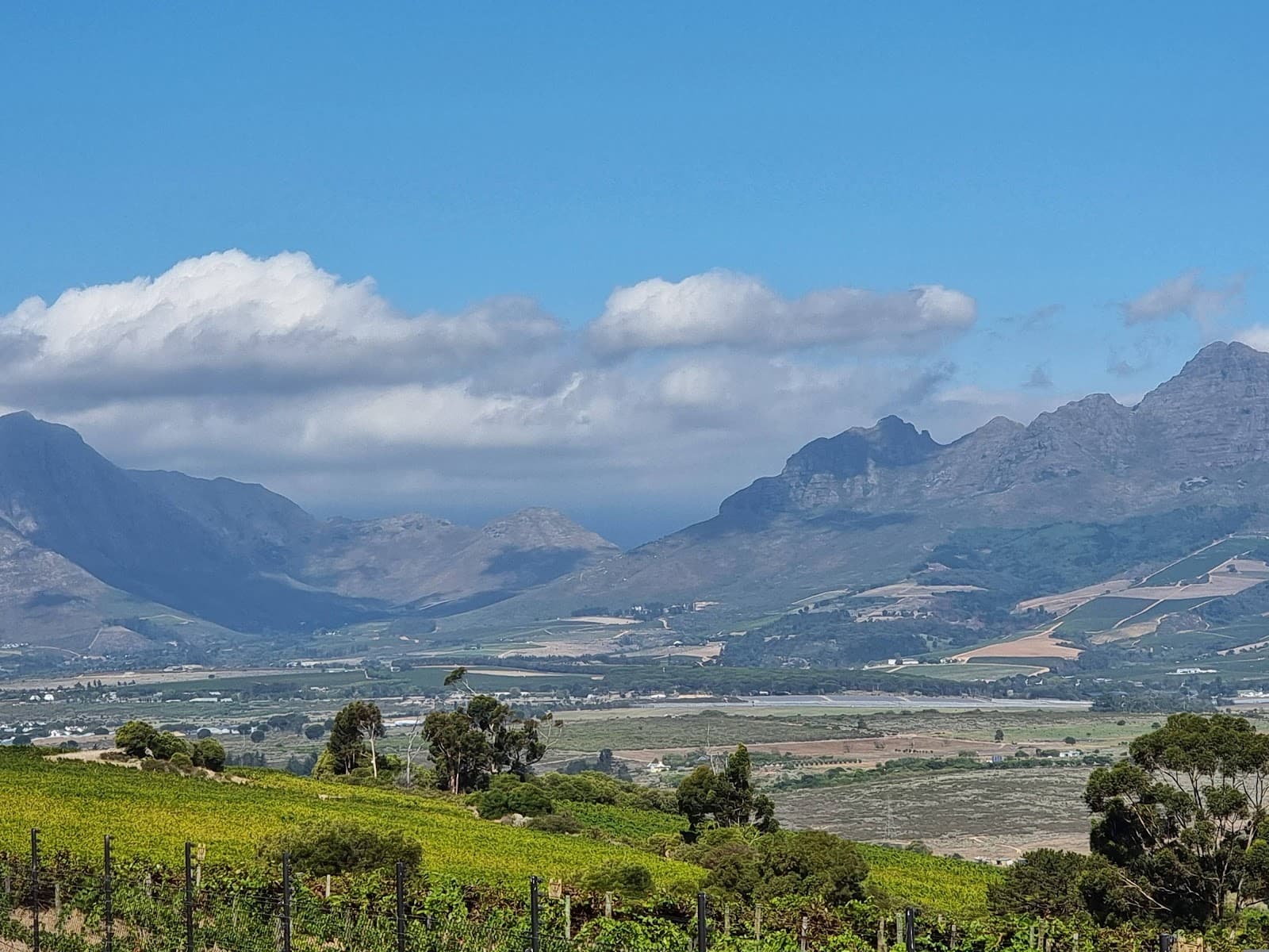 Boschkloof Wines