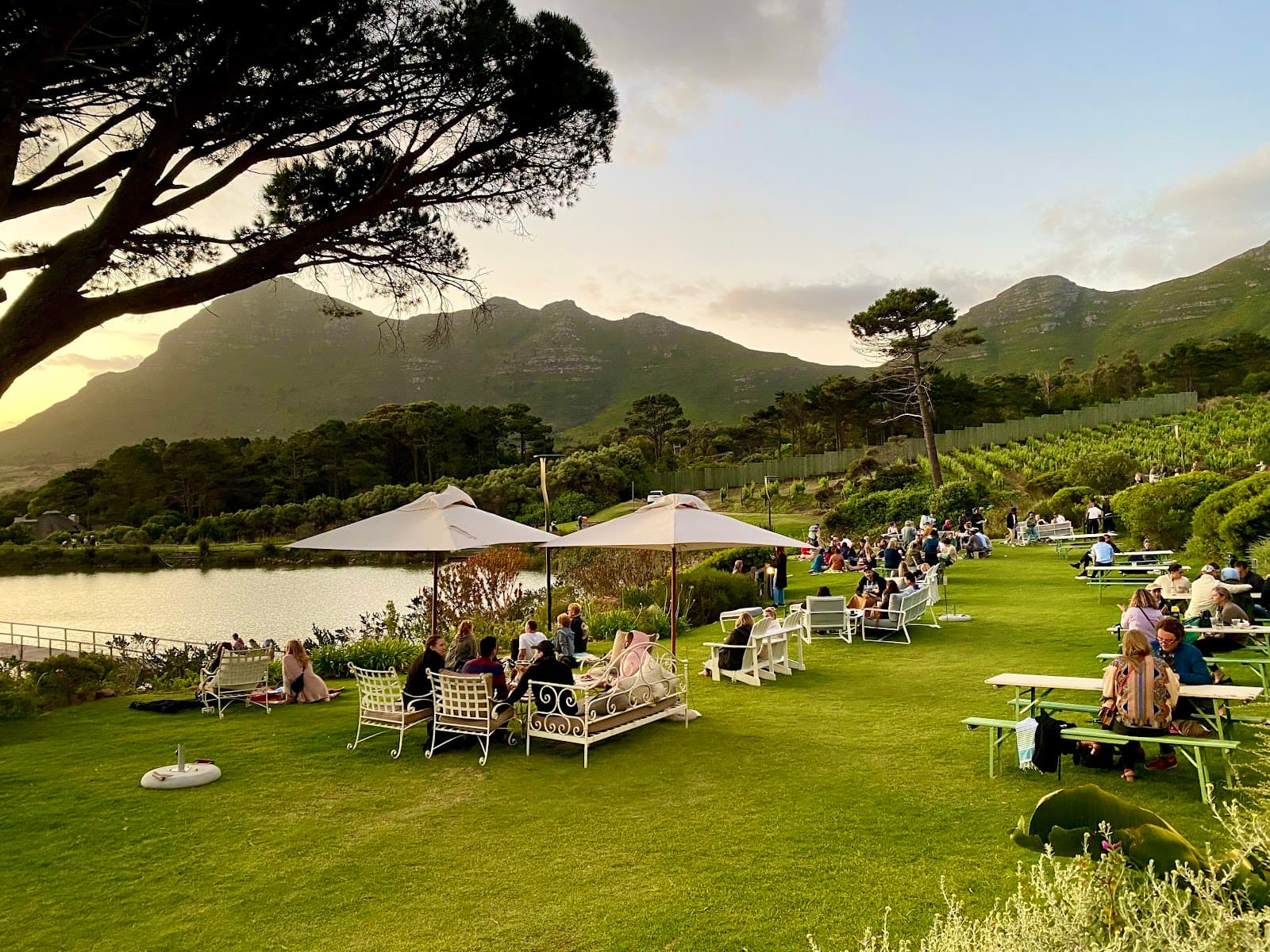 Cape Point Vineyards