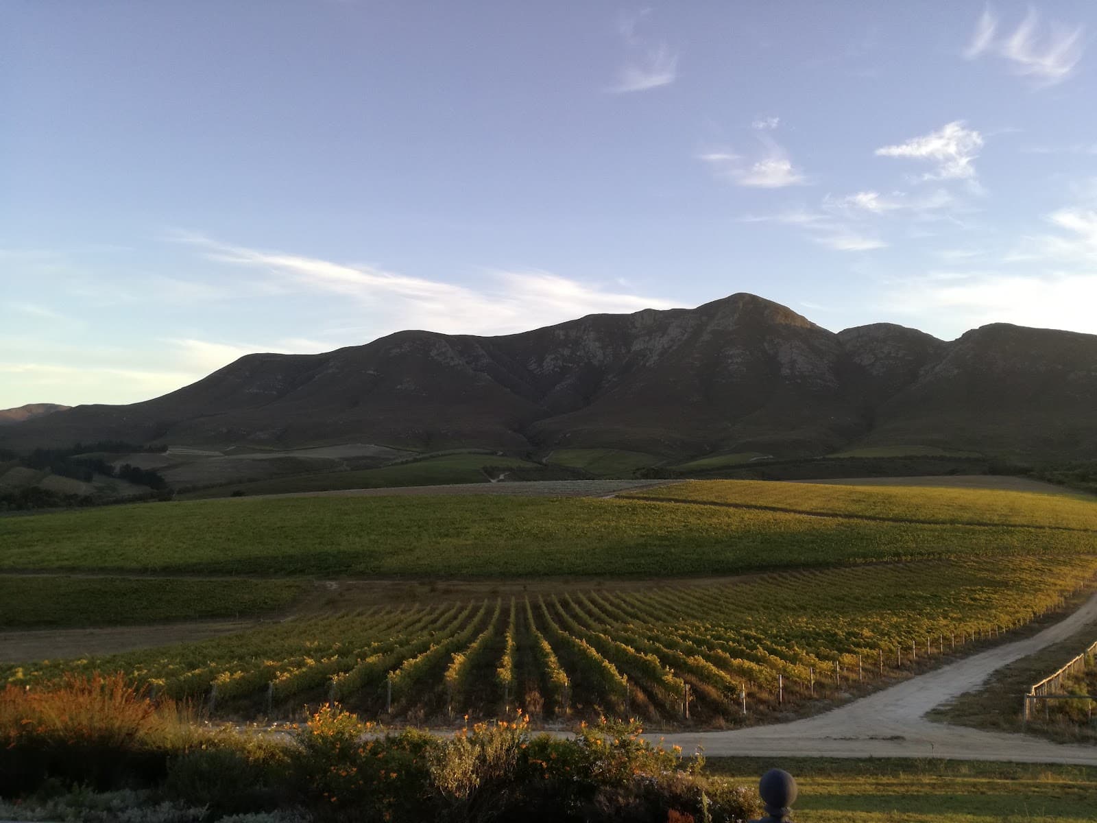 Brunia Wines