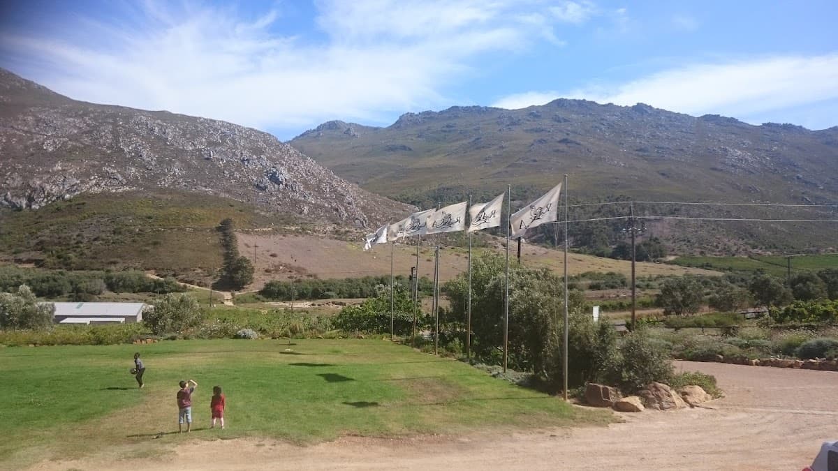 Raka Wine gallery image 1