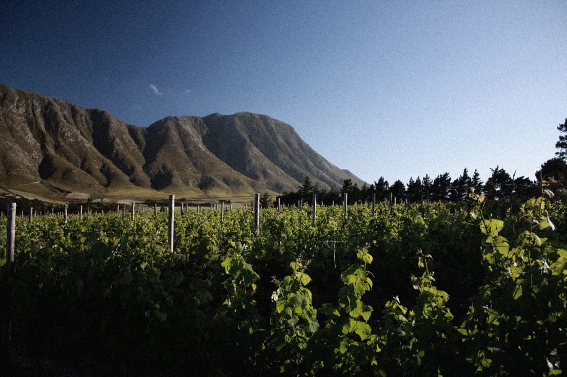 Restless River Wines gallery image 2