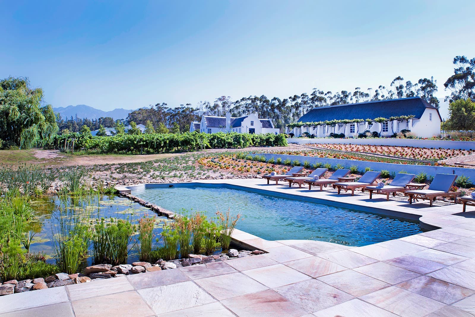 Rijk's Wine Estate & Guesthouse Tulbagh.