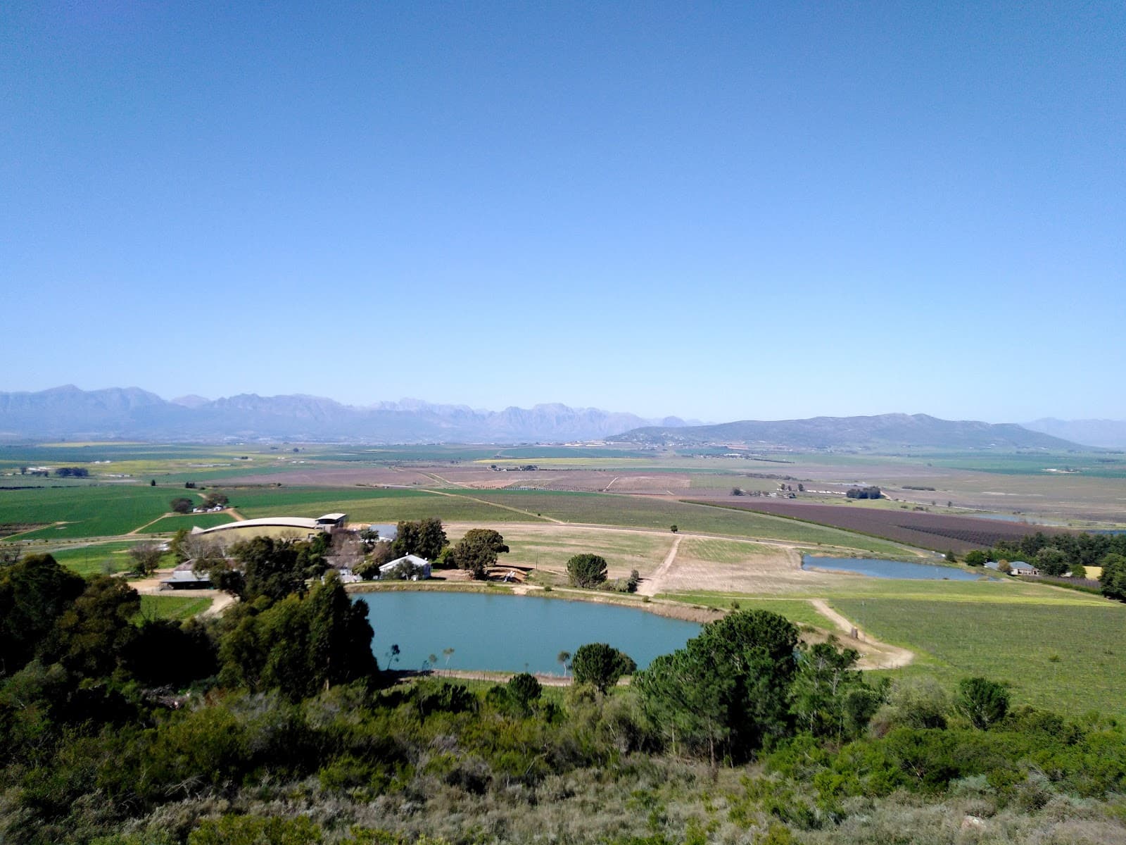 Schoon Wine Farm & Cellar