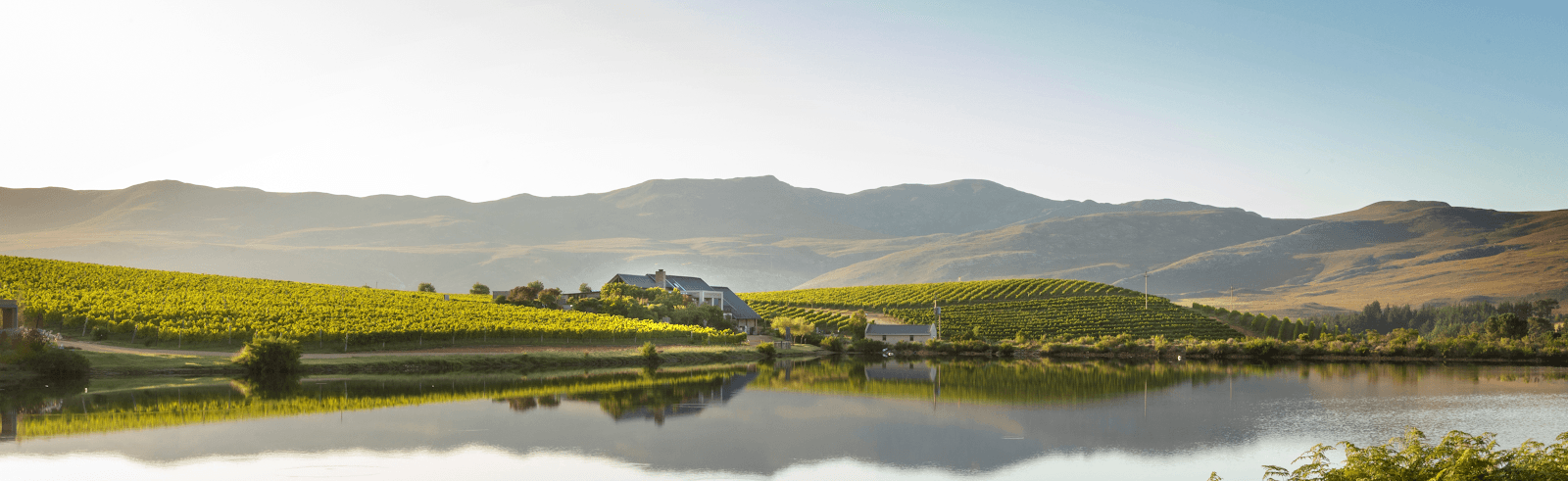 Creation Wines