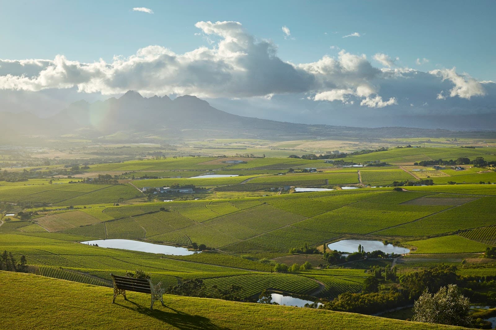 DeMorgenzon Stellenbosch