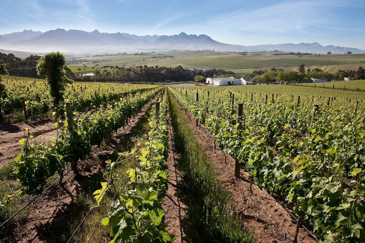 DeMorgenzon Stellenbosch gallery image 1