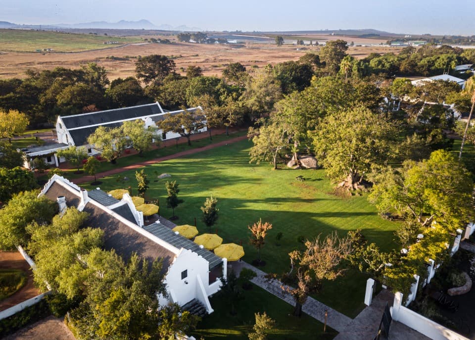 Spier Wine Farm