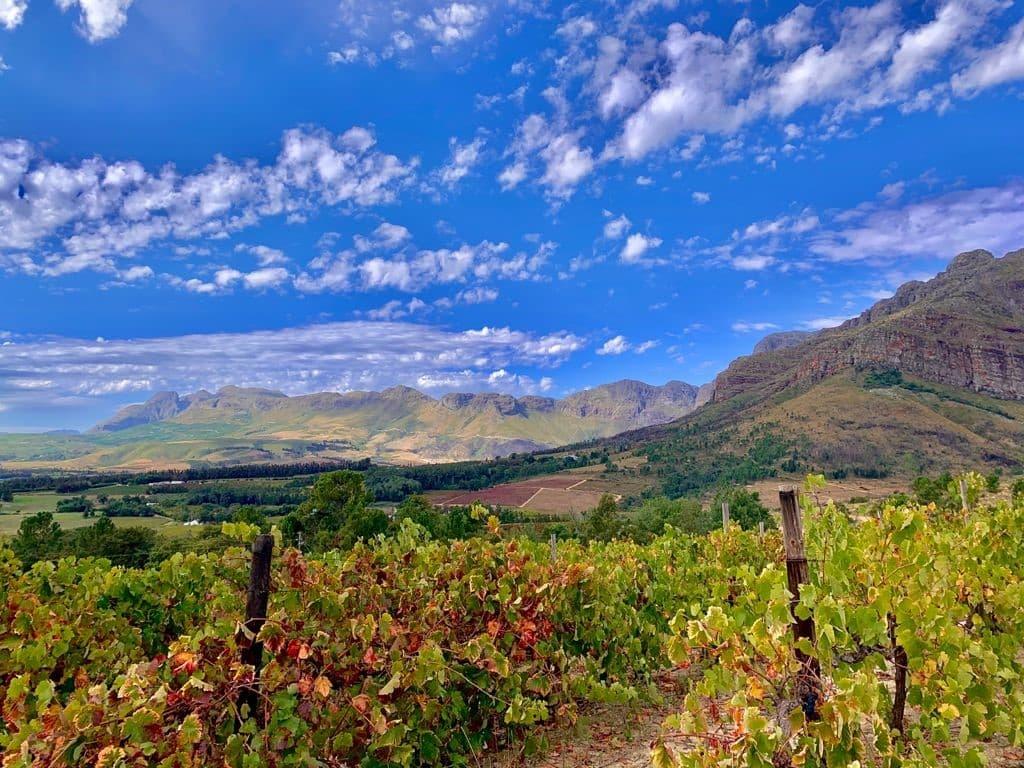 La Luandiére Wines