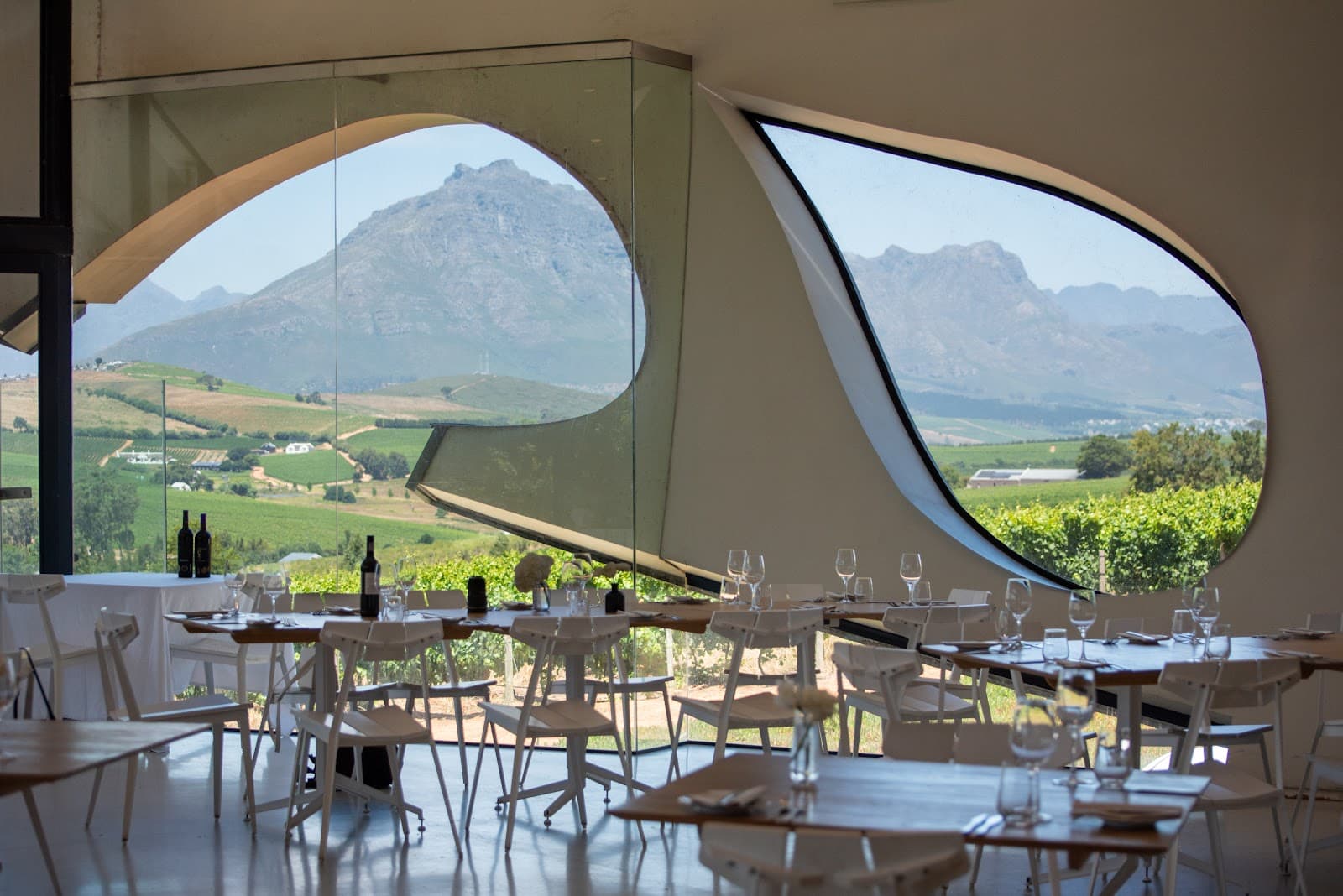 Louisvale Wines