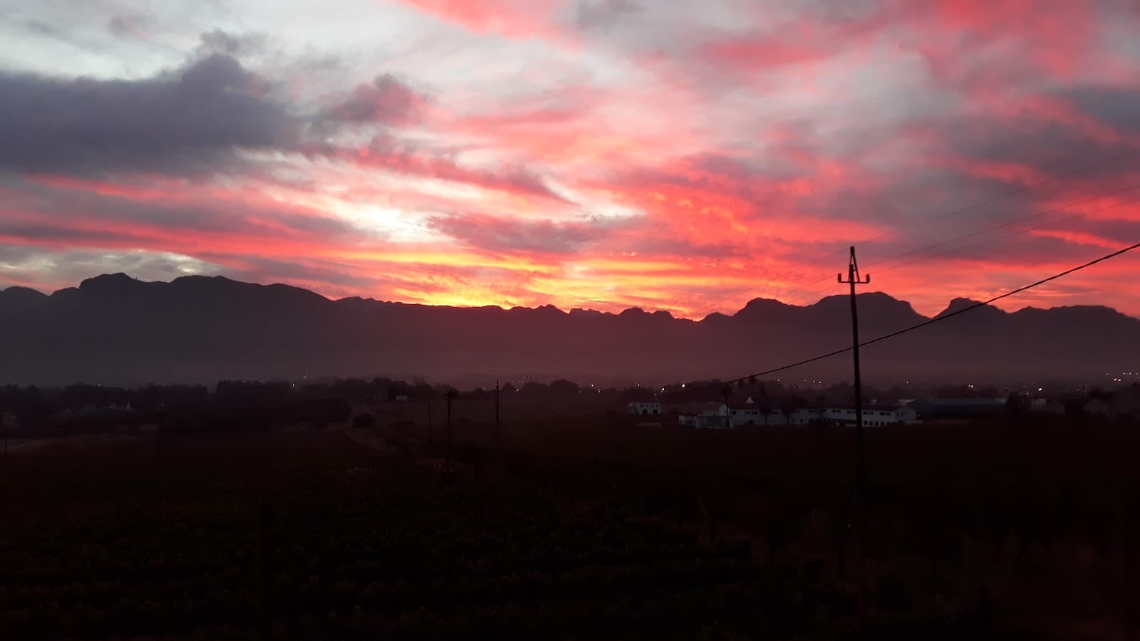 Veenwouden Private Cellar