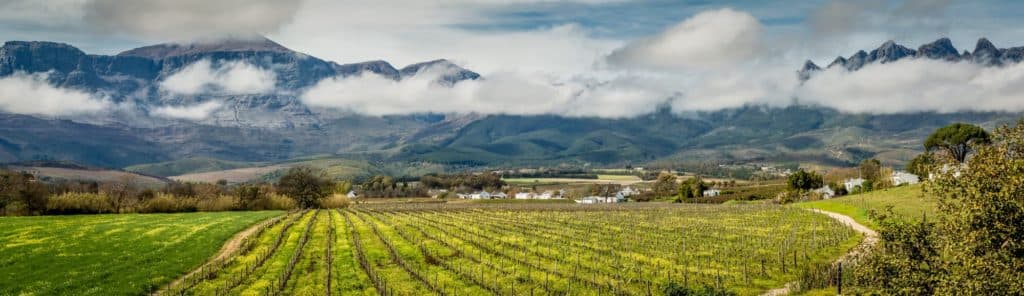 Wellington Wines Production Facility