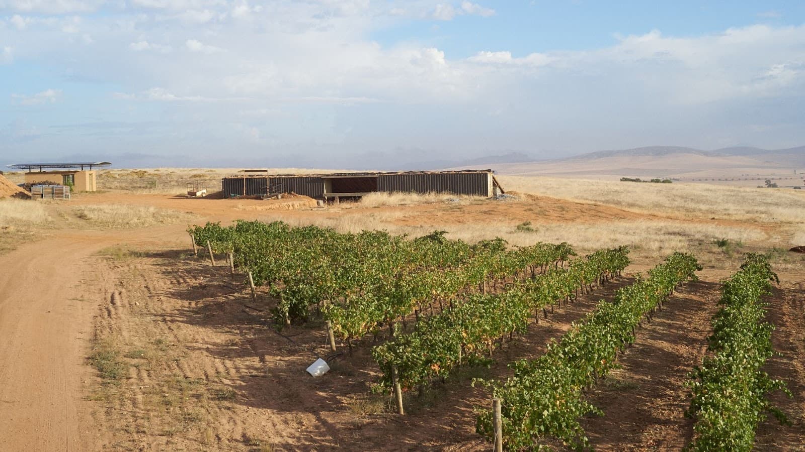The Hughes Family Wines