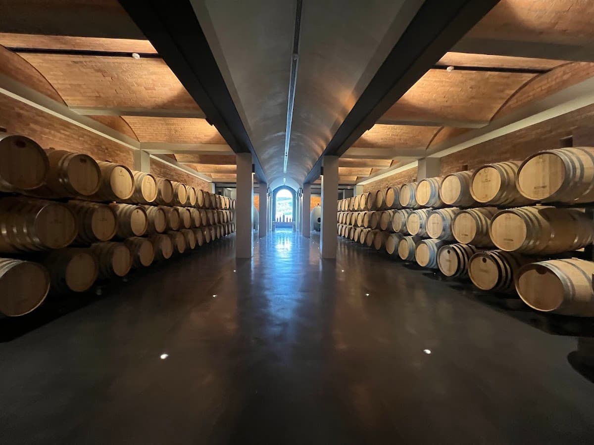 Ernie Els Wines gallery image 6