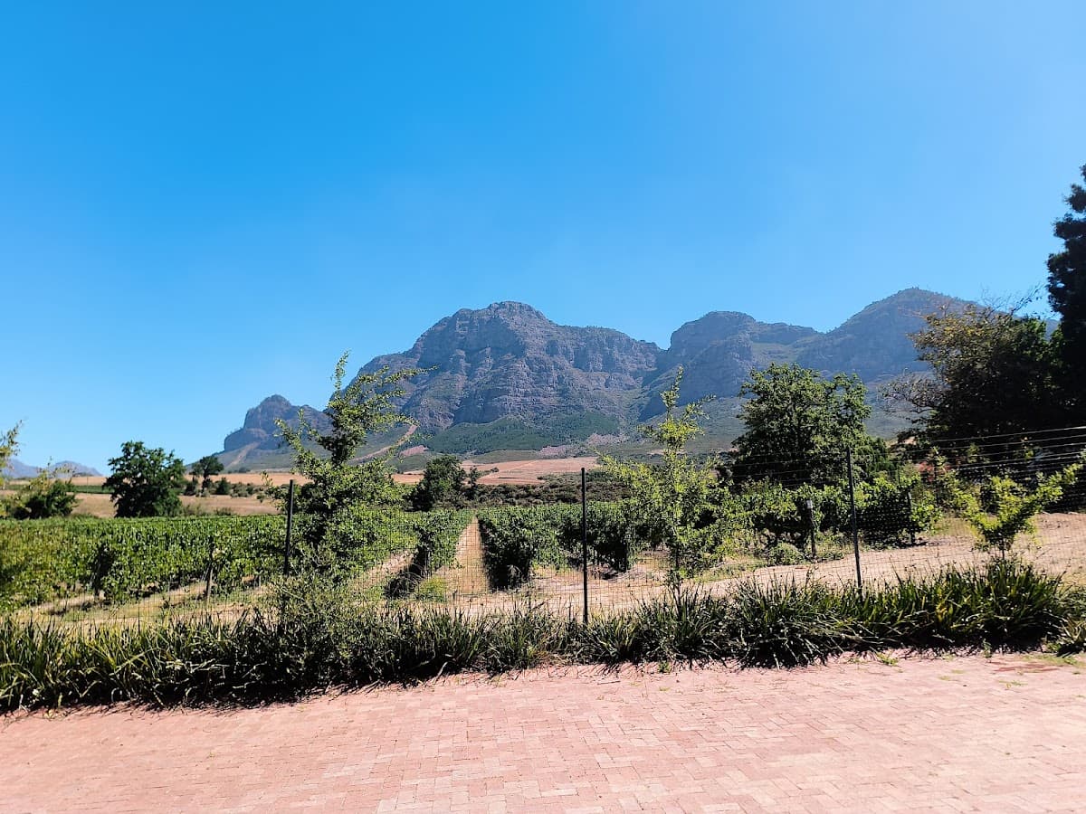 Plaisir Wine Estate gallery image 5