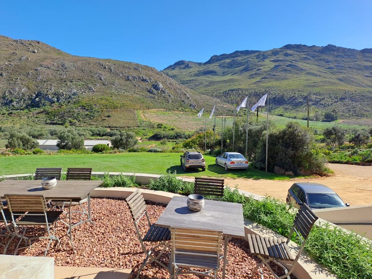 Raka Wine gallery image 3