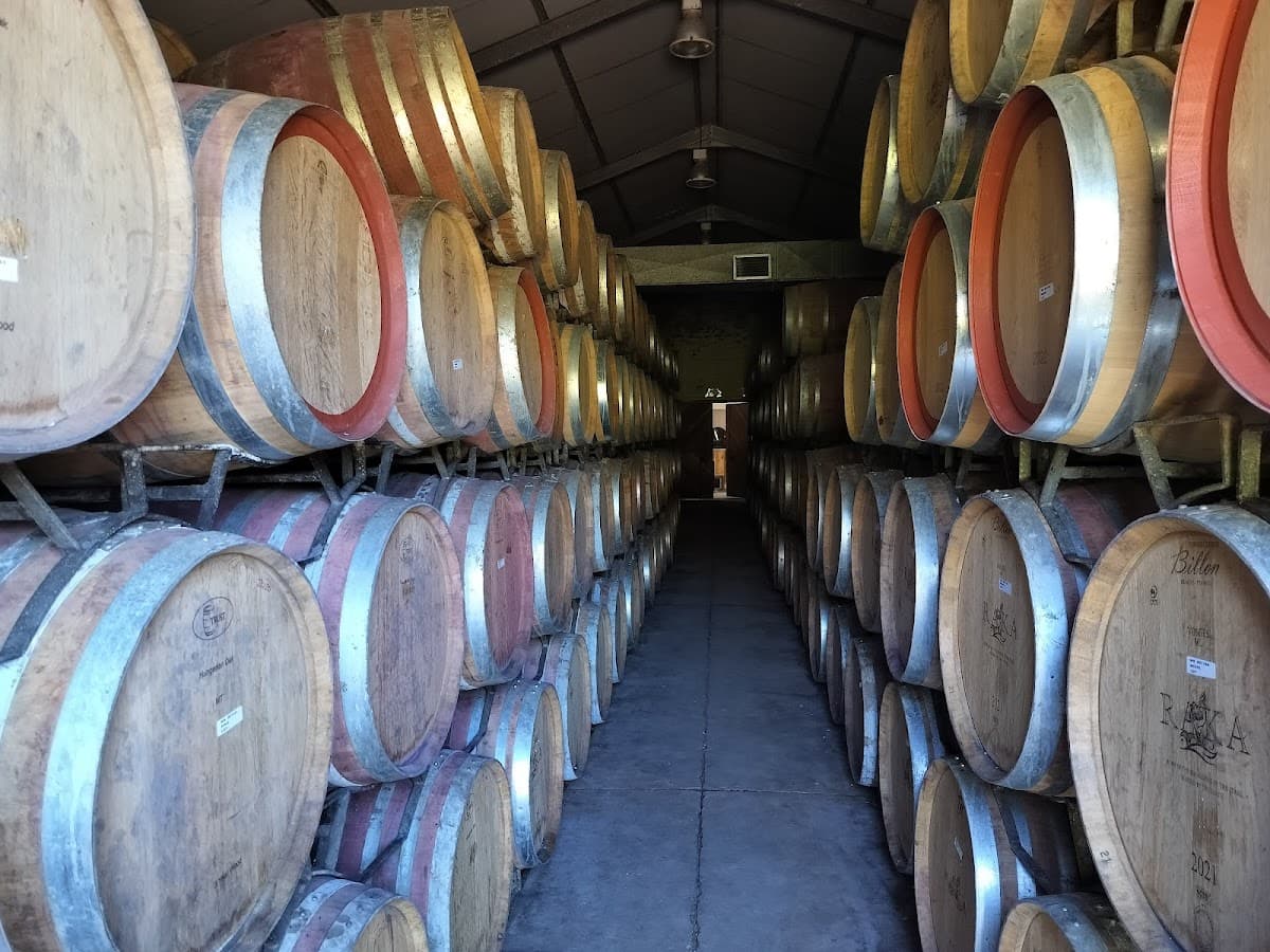 Raka Wine gallery image 6