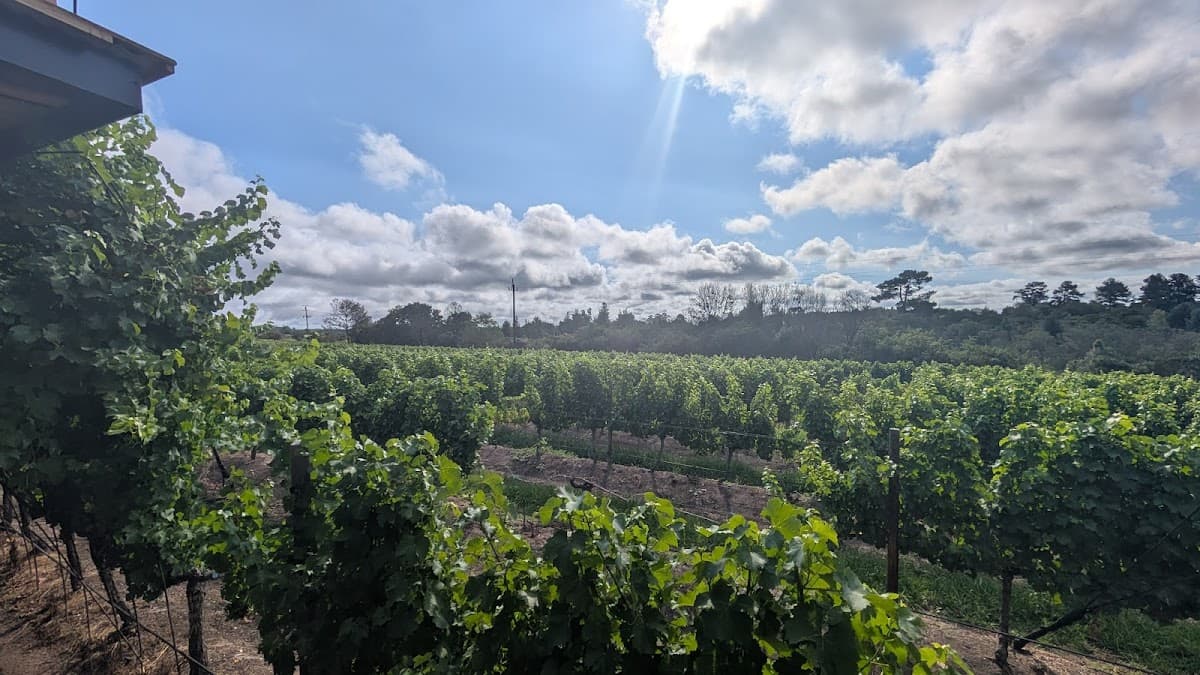 Newstead Wine Estate gallery image 6