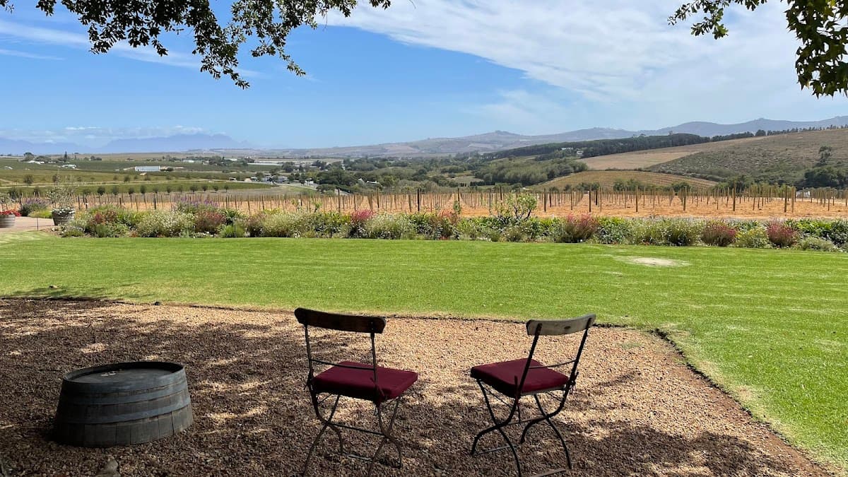 Alto Wine Estate gallery image 2