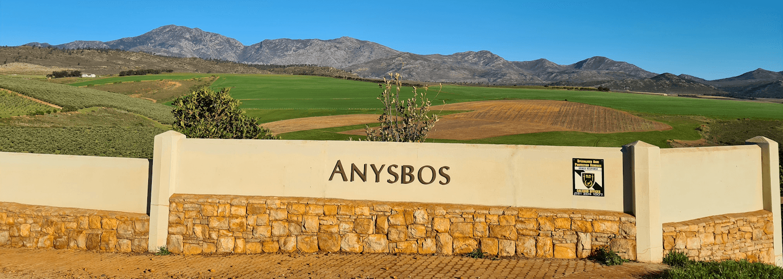 Anysbos