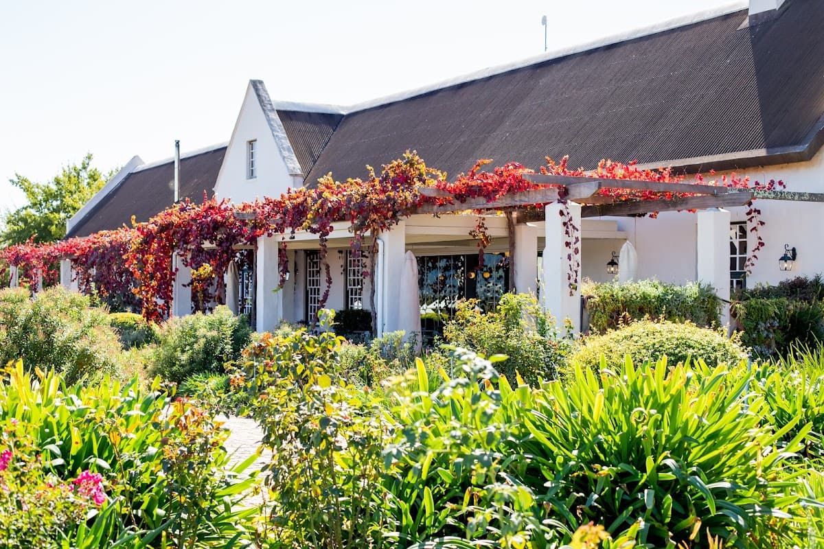 Avondale Wine gallery image 2