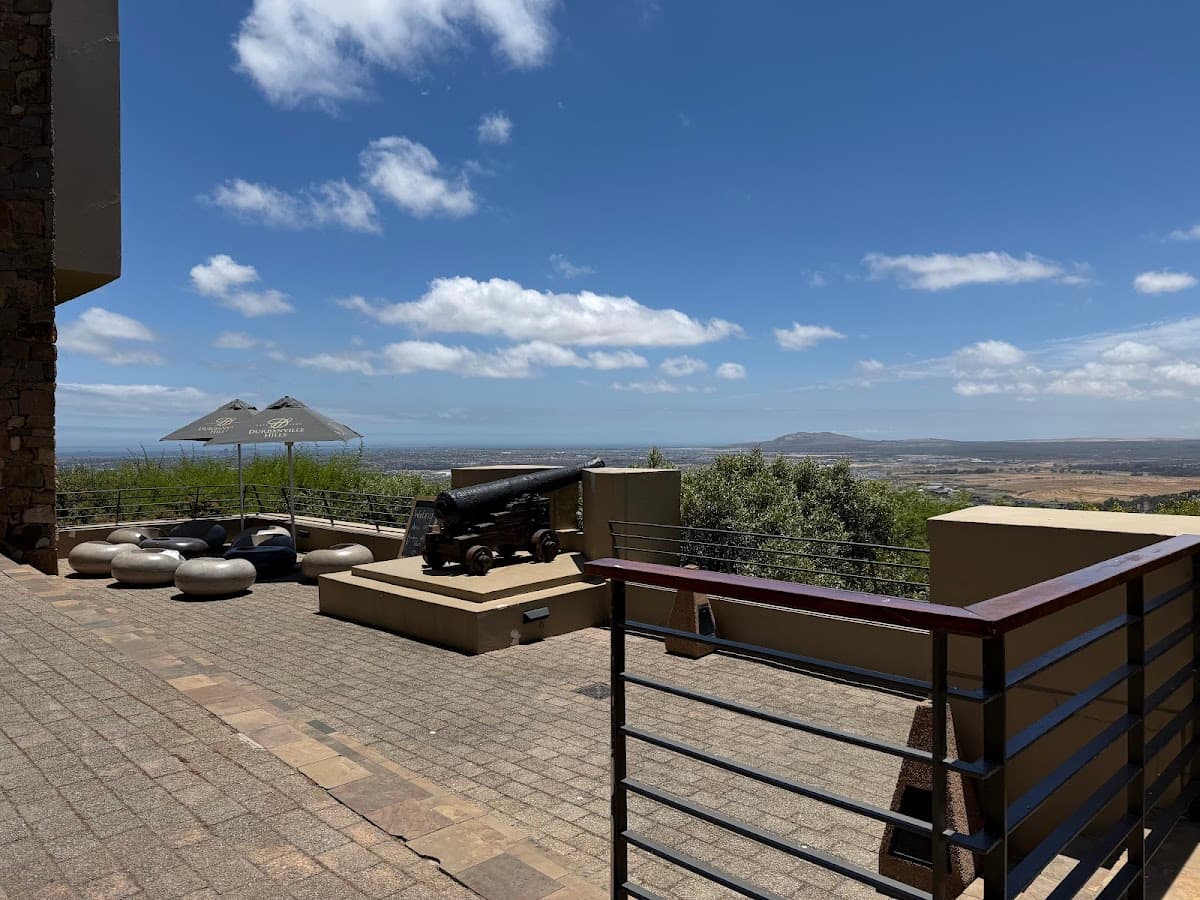 Durbanville Hills Winery gallery image 2