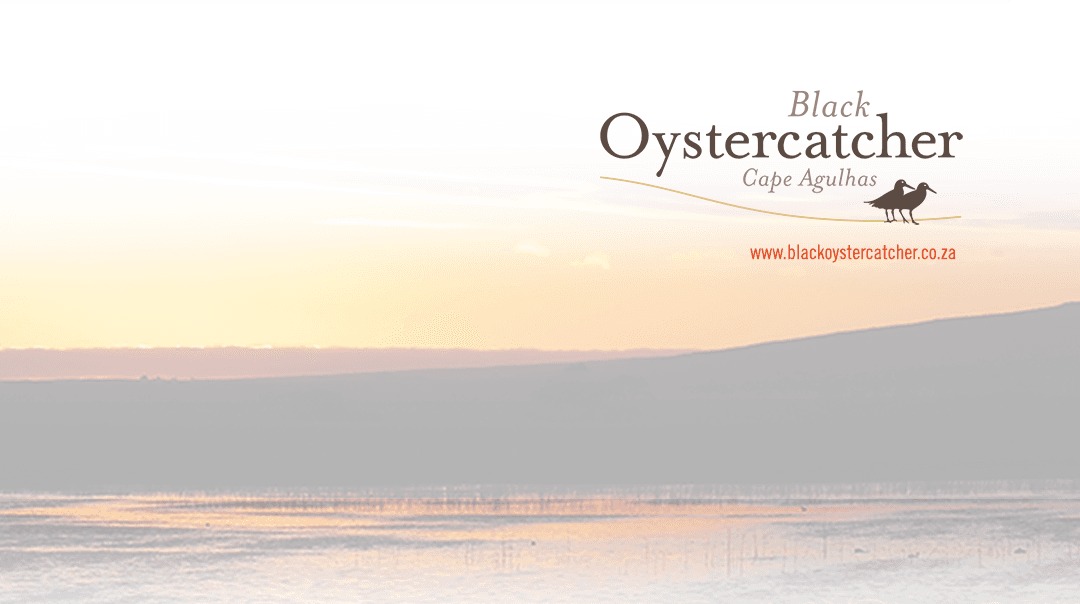 Black Oystercatcher Wines
