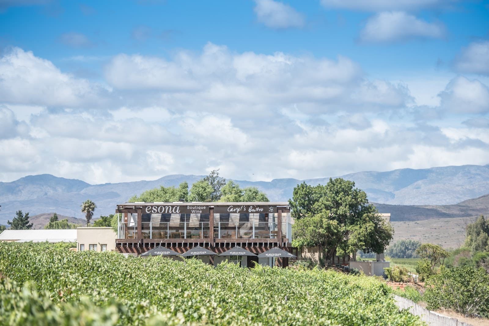 Esona Boutique Wine Estate