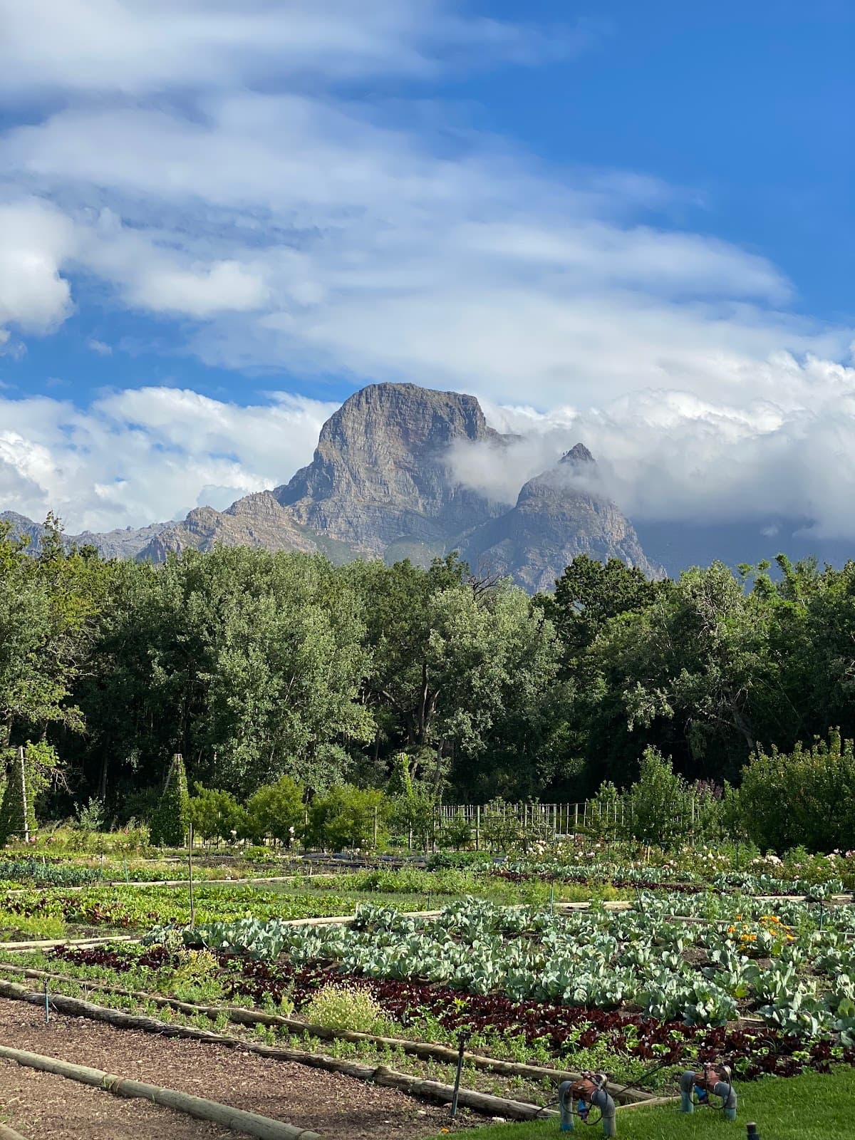 Boschendal gallery image 2