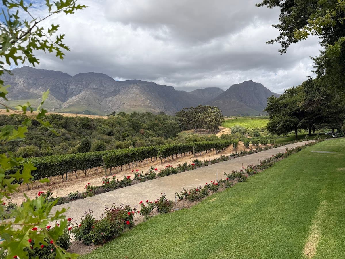 Rust en Vrede Wine Estate gallery image 1