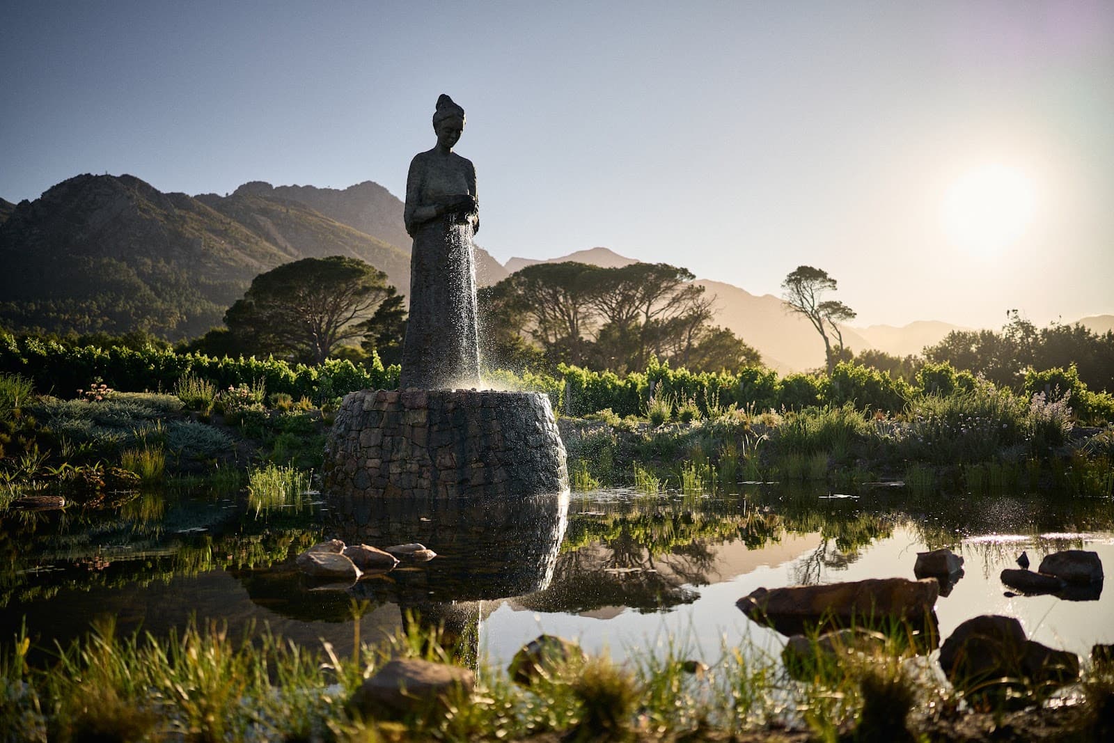 La Motte Wine Farm