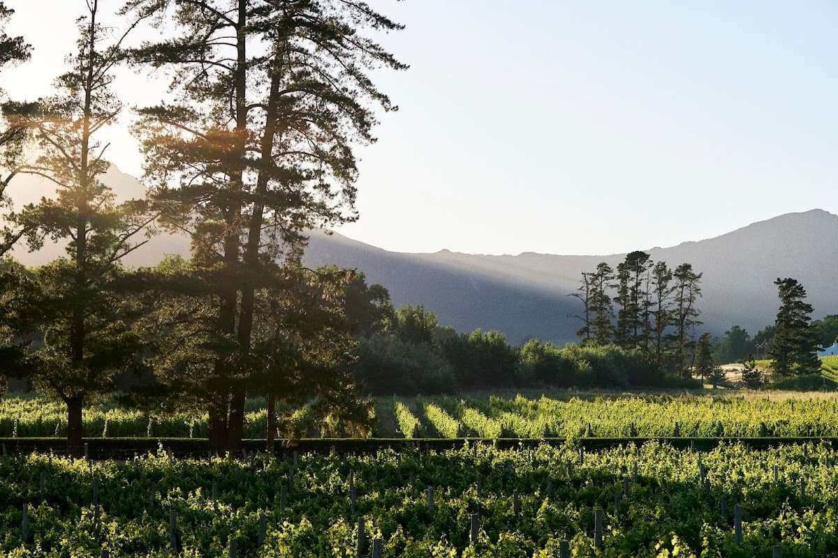 Rickety Bridge Estate gallery image 2