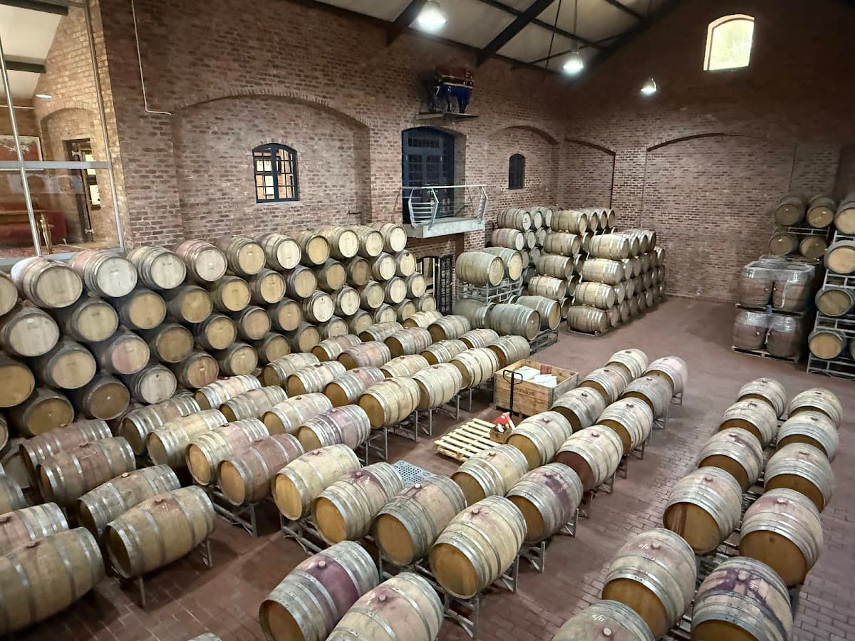 Saronsberg Wine Cellar gallery image 1