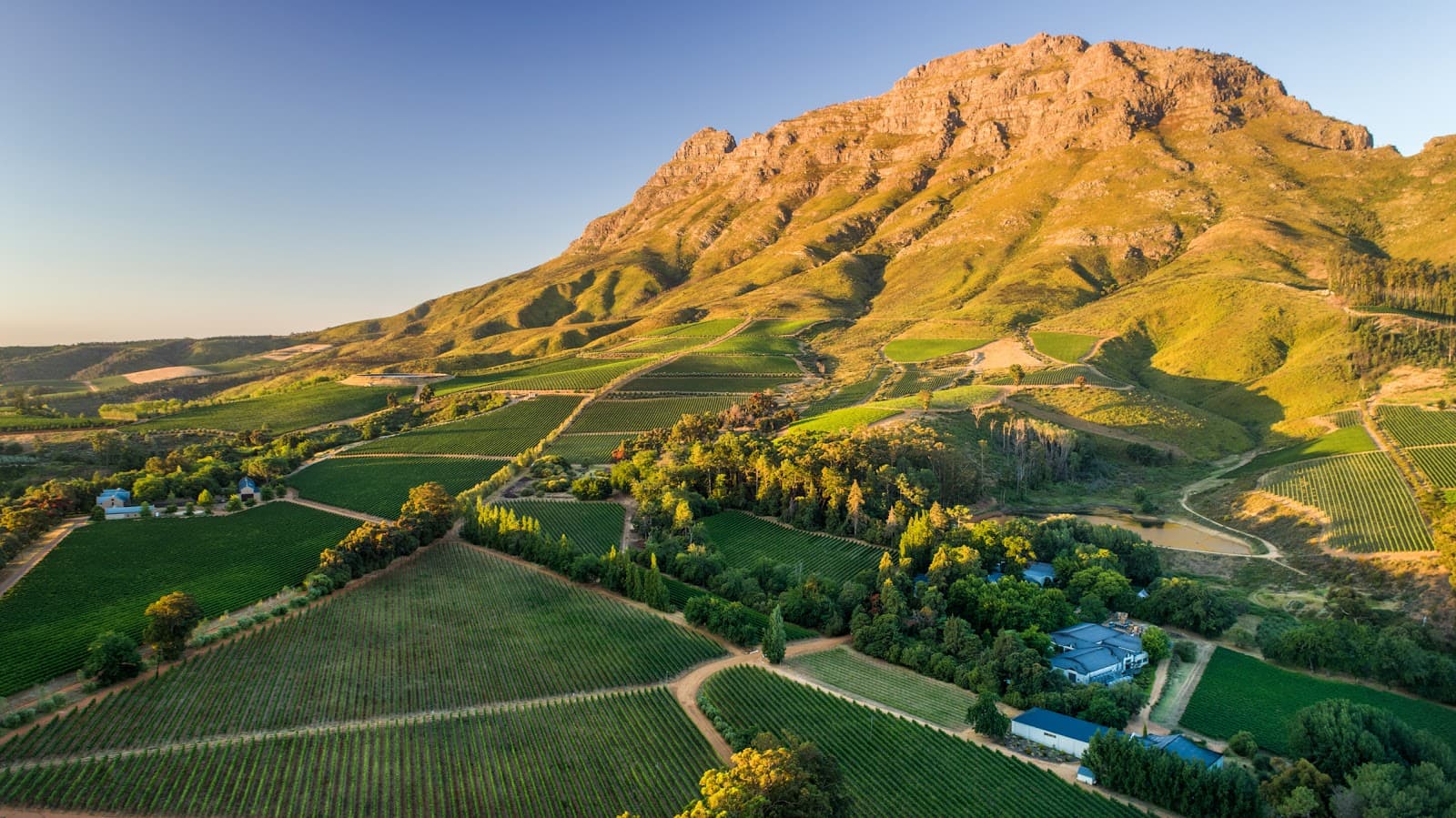 Thelema Mountain Vineyards