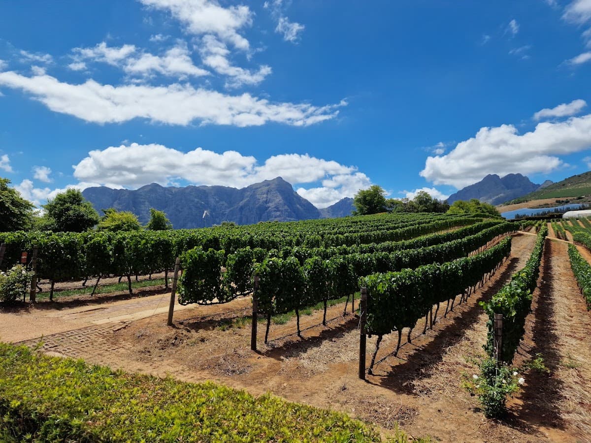 Delaire Graff Estate gallery image 1