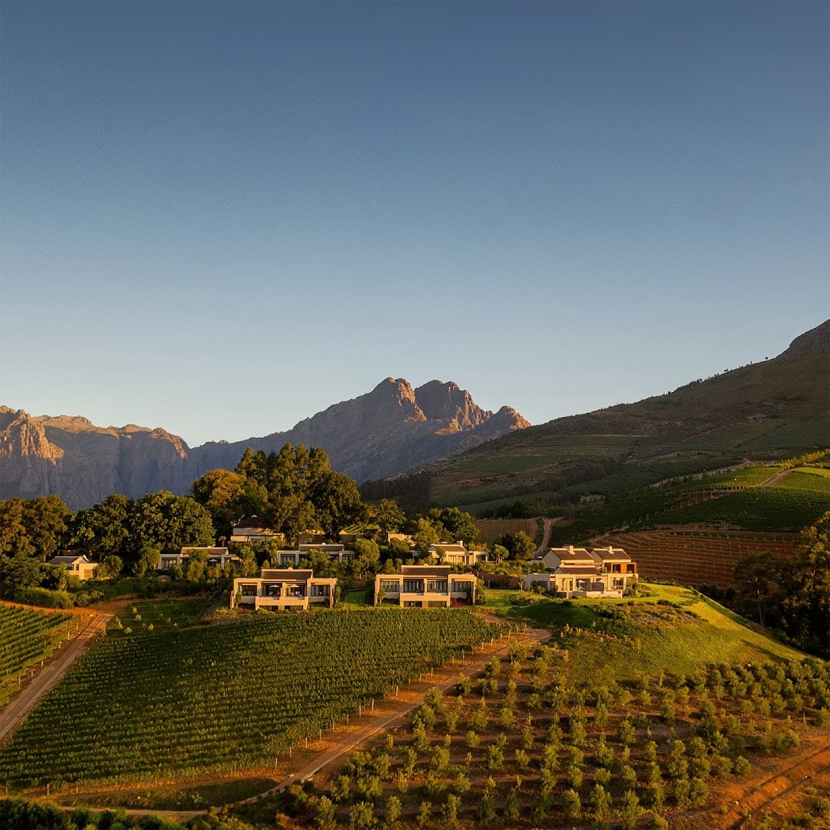 Delaire Graff Estate gallery image 2