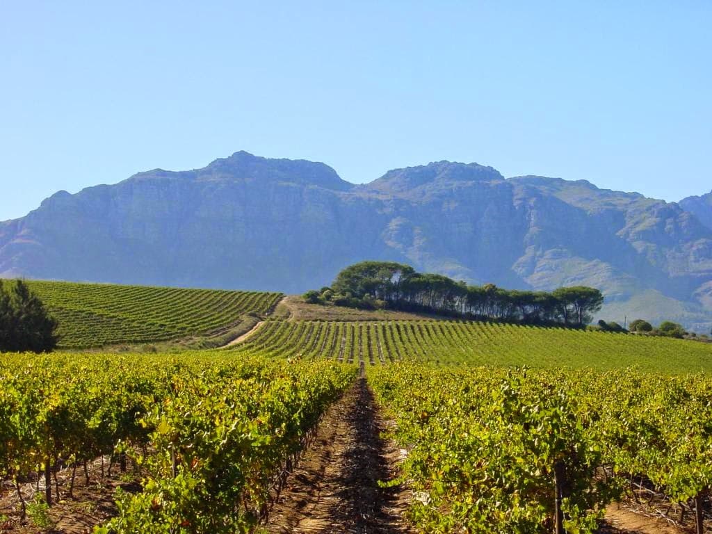 Kleine Zalze Wine Estate