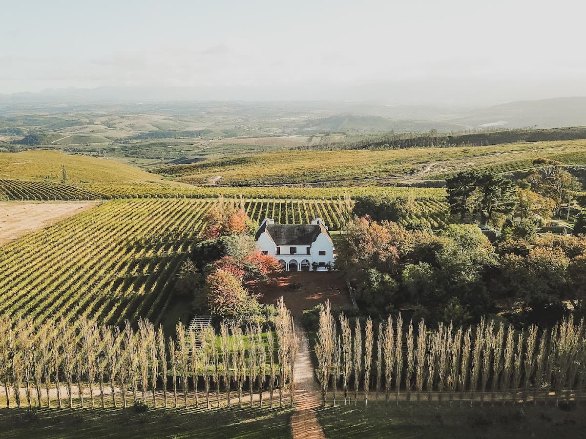 Iona Wines gallery image 2