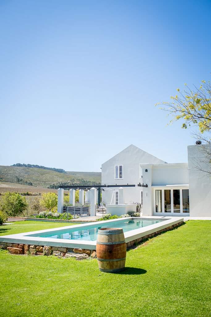 South Hill Vineyards gallery image 2