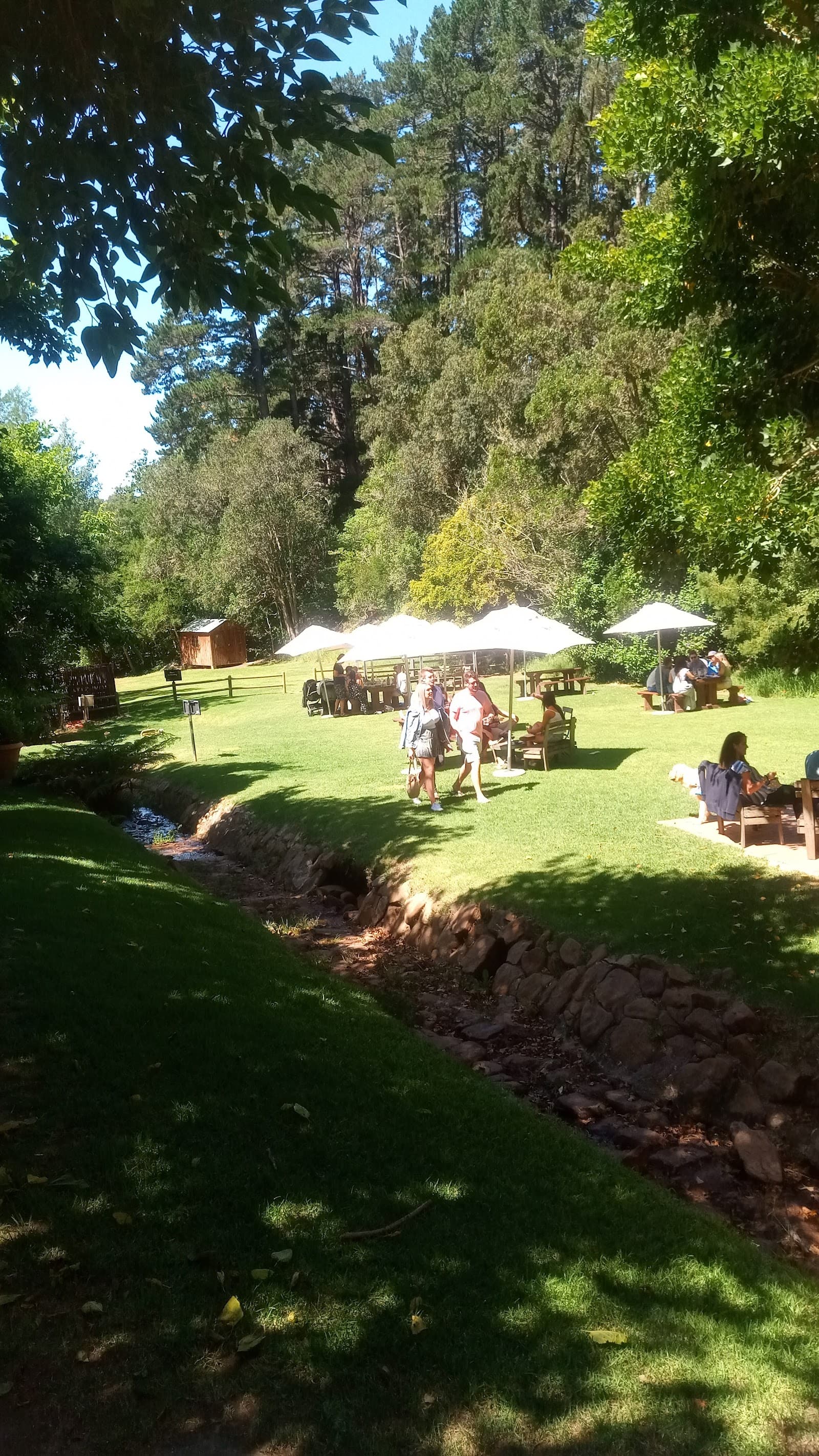 Constantia Wine Route