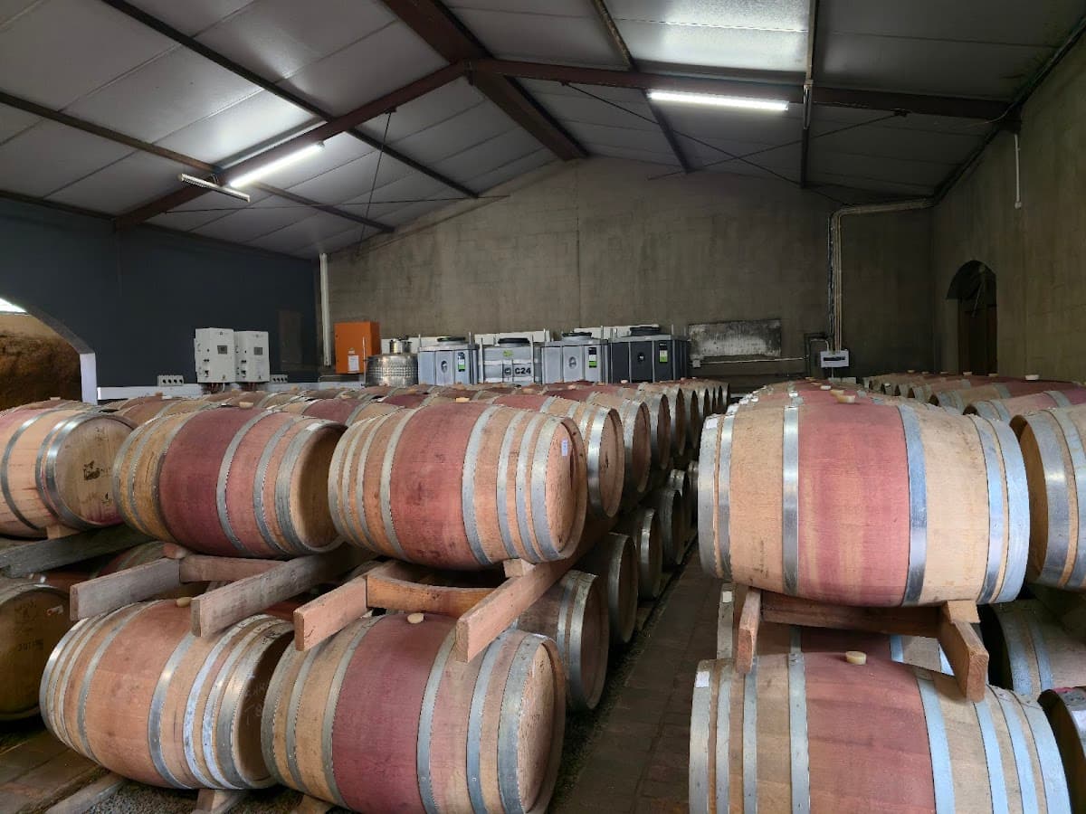 Nitida Wine Farm gallery image 2