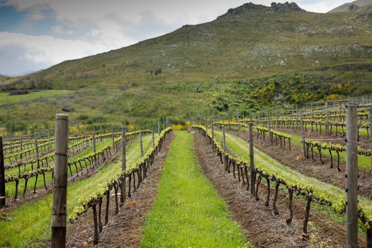 Oak Valley Estate. gallery image 1