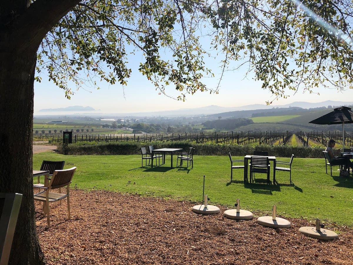 Alto Wine Estate gallery image 6