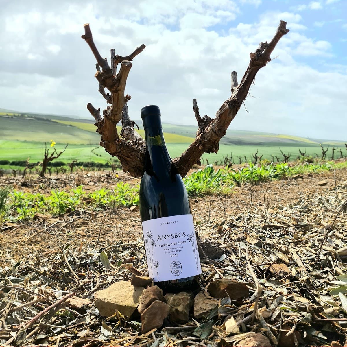 Anysbos gallery image 3