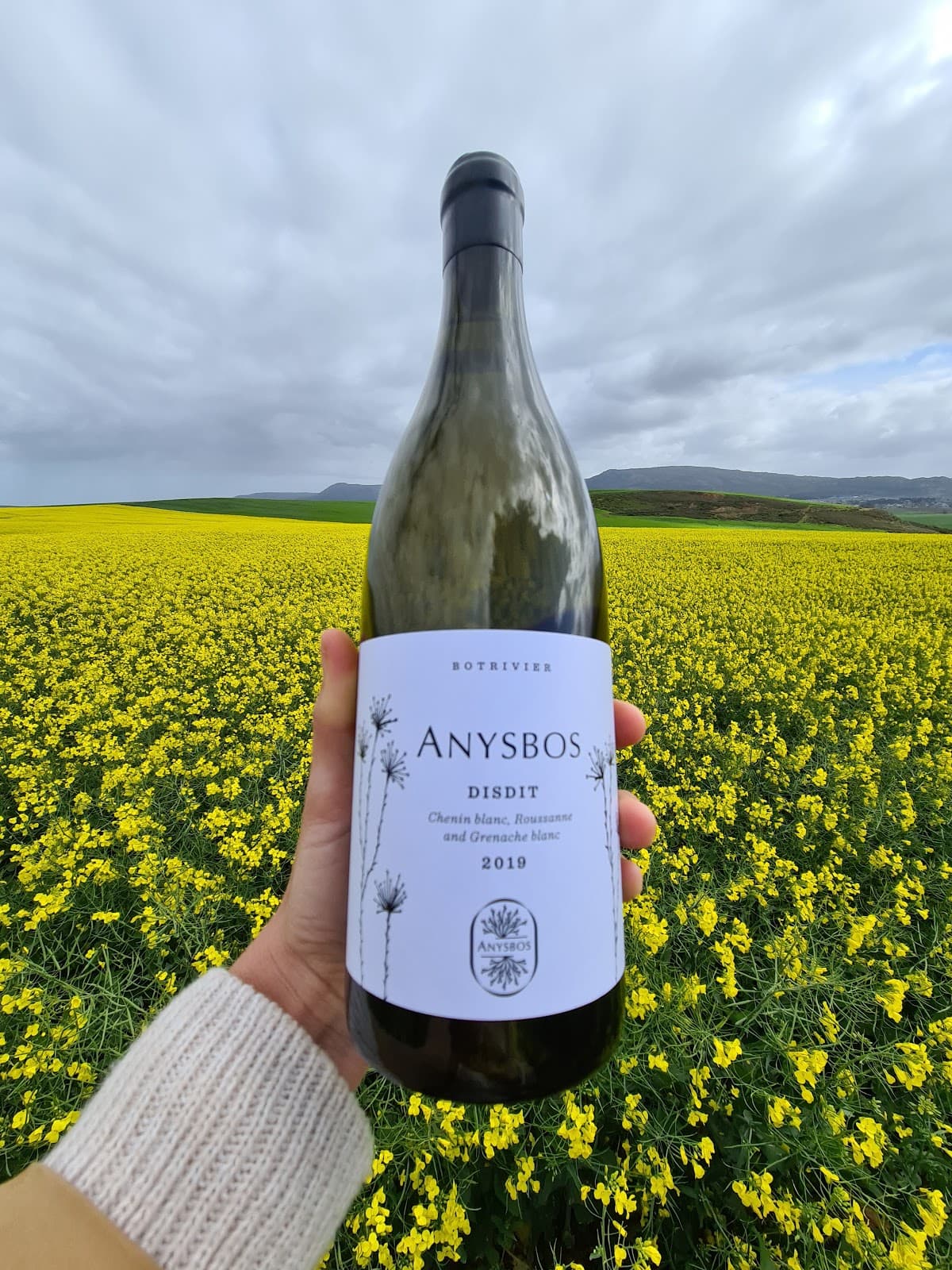 Anysbos gallery image 4