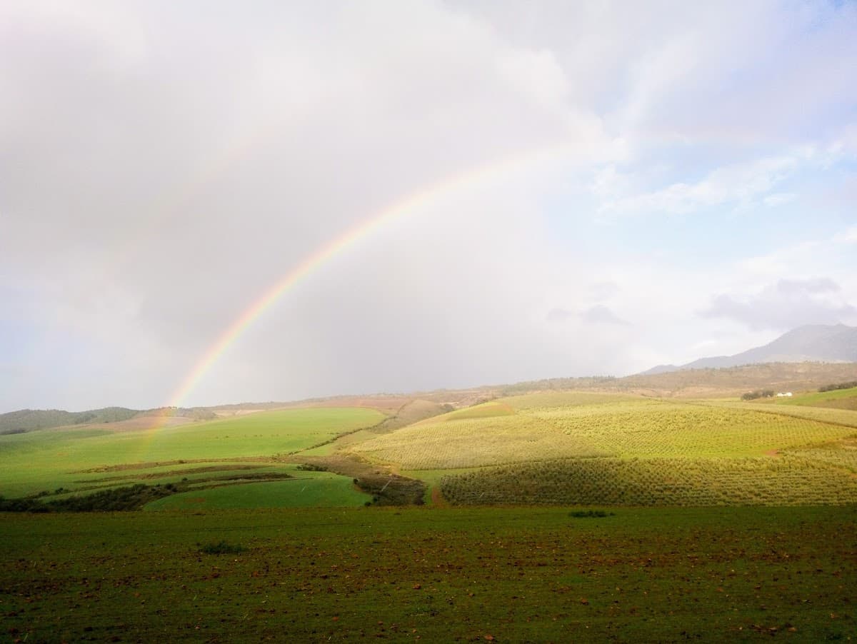 Anysbos gallery image 6