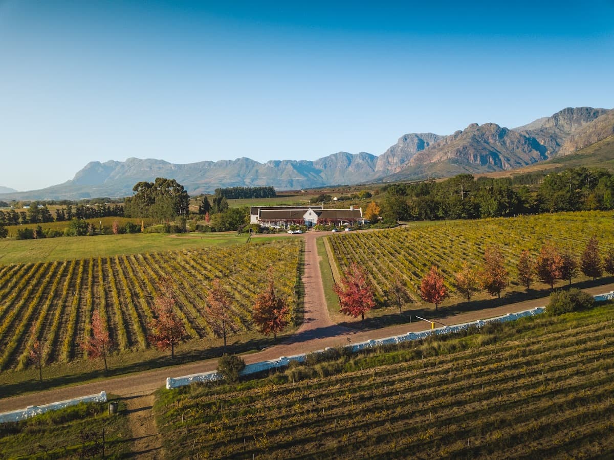 Avondale Wine gallery image 3